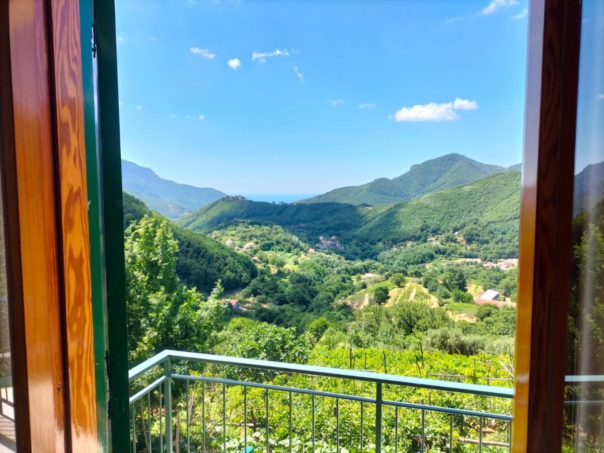 La Casa In Vigna Villa Трамонти Екстериор снимка