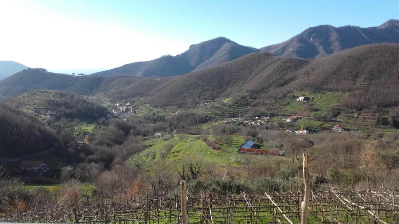 La Casa In Vigna Villa Трамонти Екстериор снимка